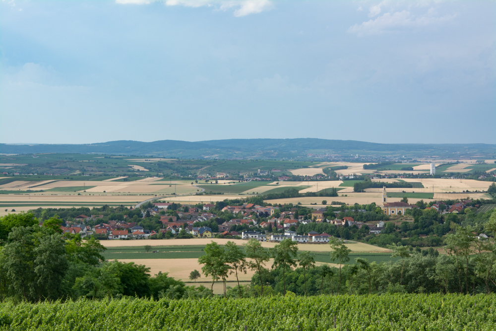 Landschaftsaufnahme von Platt